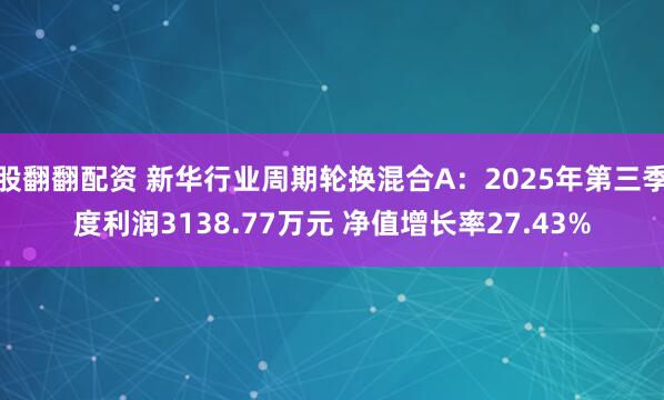 股翻翻配资 新华行业周期轮换混合A：2025年第三季度利润3138.77万元 净值增长率27.43%