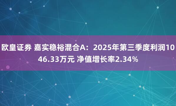 欧皇证券 嘉实稳裕混合A：2025年第三季度利润1046.33万元 净值增长率2.34%