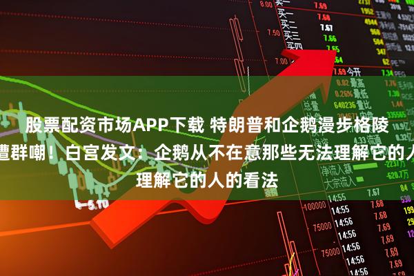 股票配资市场APP下载 特朗普和企鹅漫步格陵兰岛图遭群嘲！白宫发文：企鹅从不在意那些无法理解它的人的看法